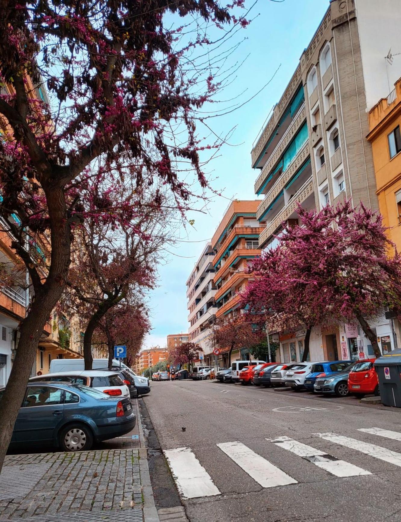 Vintage Apartment Kordoba Zewnętrze zdjęcie
